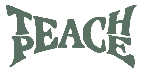 TEACH PEACE PROJECT